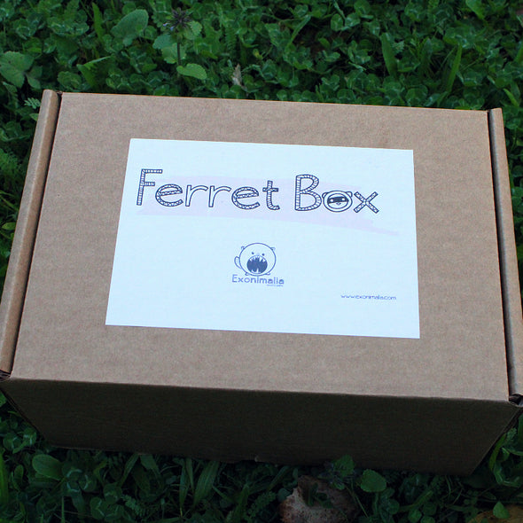 Ferret Box