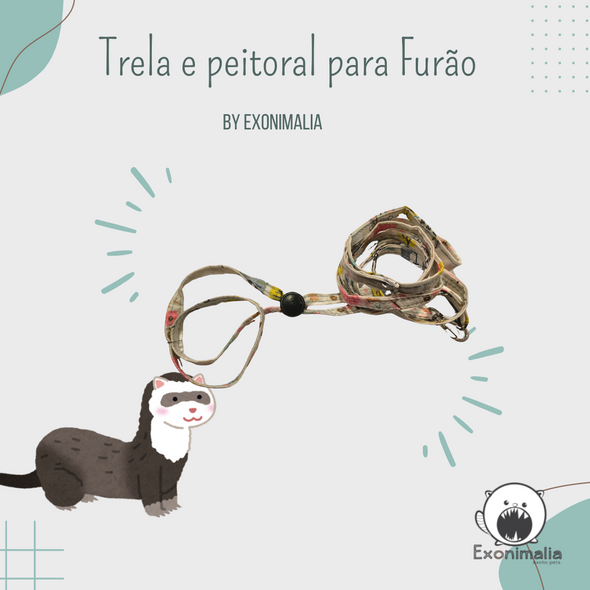 Peitoral + Trela para furão (Summer)