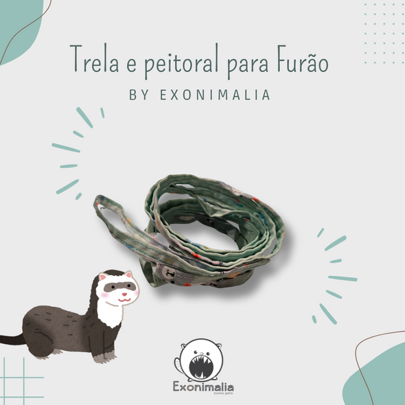 Peitoral + Trela para furão (Bunnies)