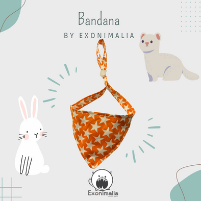 Bandana Laranja Stars