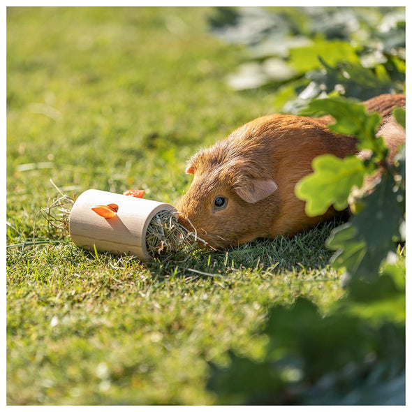 CILINDRO EM MADEIRA PARA SNACKS PARA PORQ. DA ÍNDIA E COELHOS