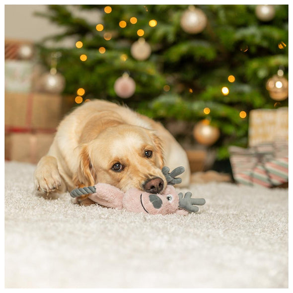 RENA EM PELÚCIA COM CORDA