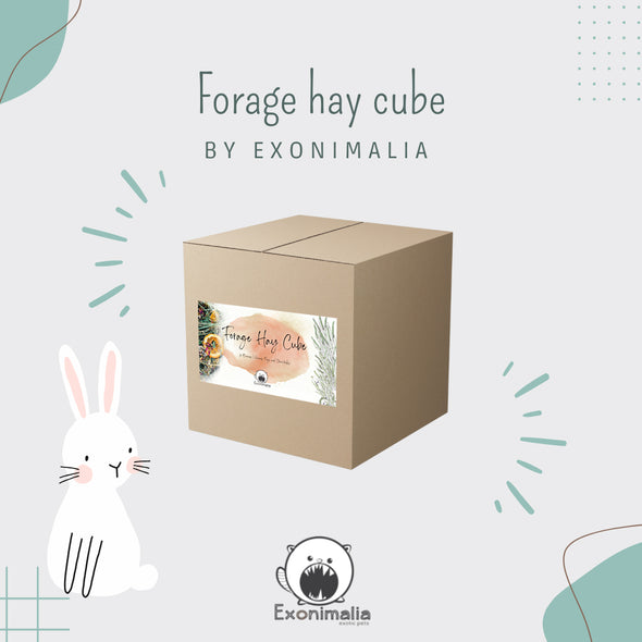 Forage Hay Cube