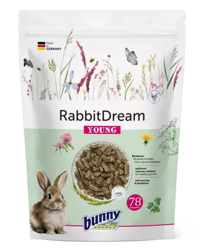 Bunny Nature Coelho Jovem (Apenas por encomenda)