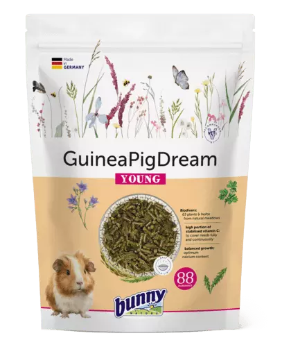 Bunny Nature Porquinho da Índia Jovem (Apenas por encomenda)