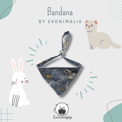Bandana (Blue Bear)