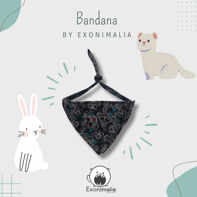 Bandana (Caveiras mexicanas)