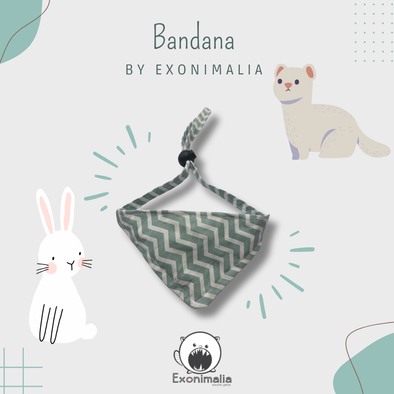 Bandana (Green stripes)