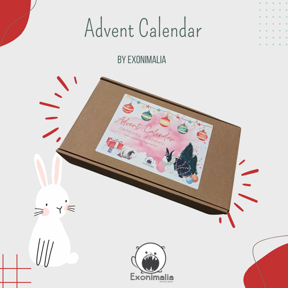 Advent Calendar para Roedores e Lagomorfos