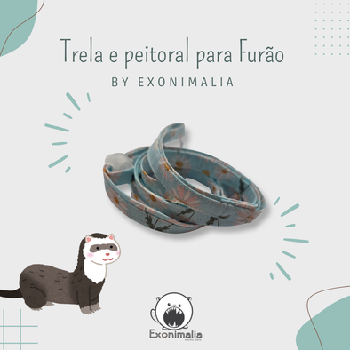 Peitoral + Trela para furão (Flowers Blue)