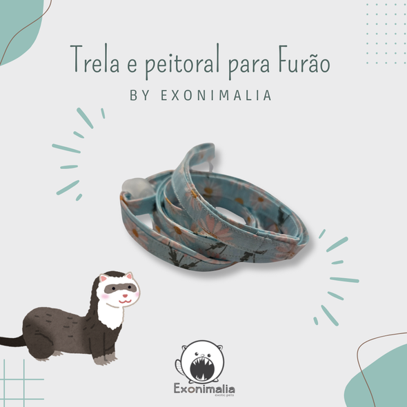 Peitoral + Trela para furão (Flowers Blue)