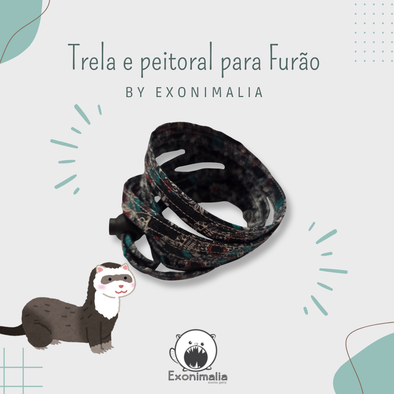 Peitoral + Trela para furão (Caveiras mexicanas)