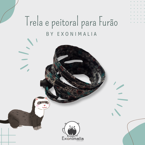Peitoral + Trela para furão (Caveiras mexicanas)