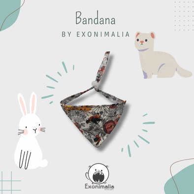 Bandana (Selva)