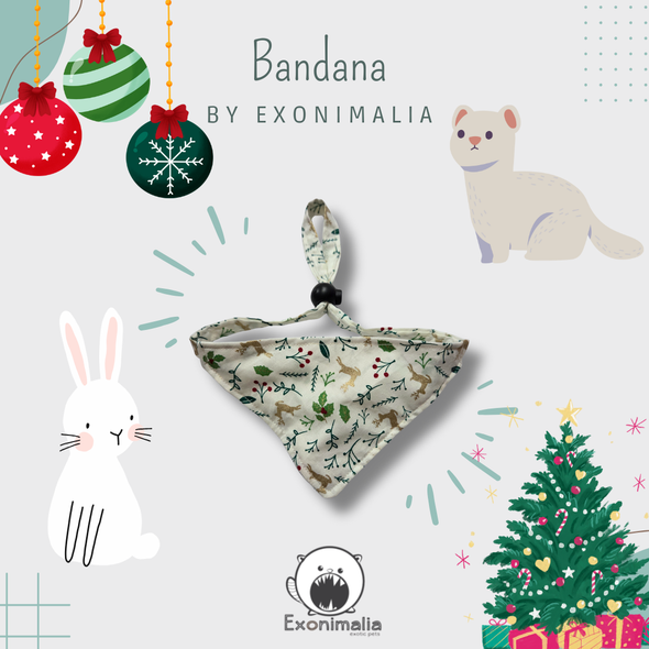 Bandana (Natal)