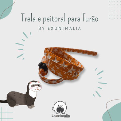 Peitoral + Trela para furão (Orange Stars)