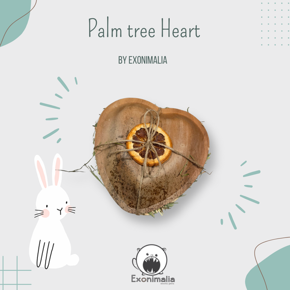 Palm Tree Heart