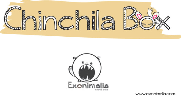 Chinchila Box de Natal