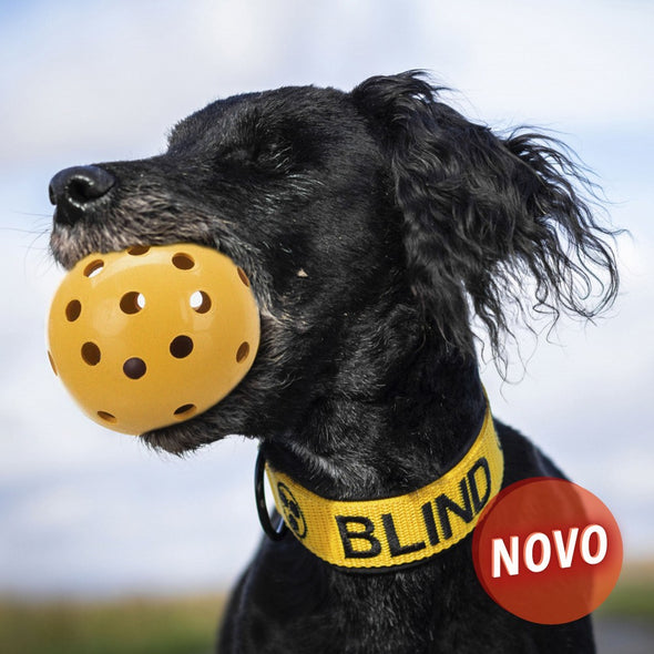 BOLA PARA CÃES INVISUAIS