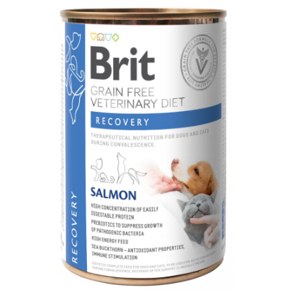 Brit Veterinary Diet Dog & Cat Recovery Grain-Free Salmon with Pea 400gr