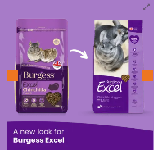 Burgess excel chinchilla sales nuggets