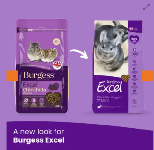 Burgess Excel Adult Chinchila com Menta 1.5kg