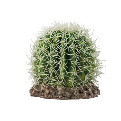 Cactus Sonora 15x15x13cm